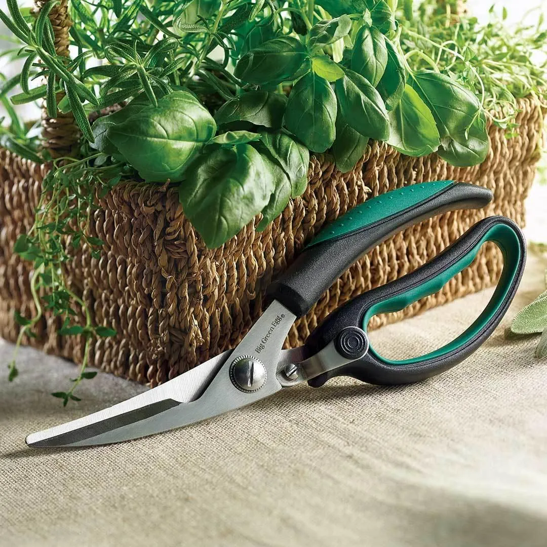 Big Green Egg Kitchen Shears 120106