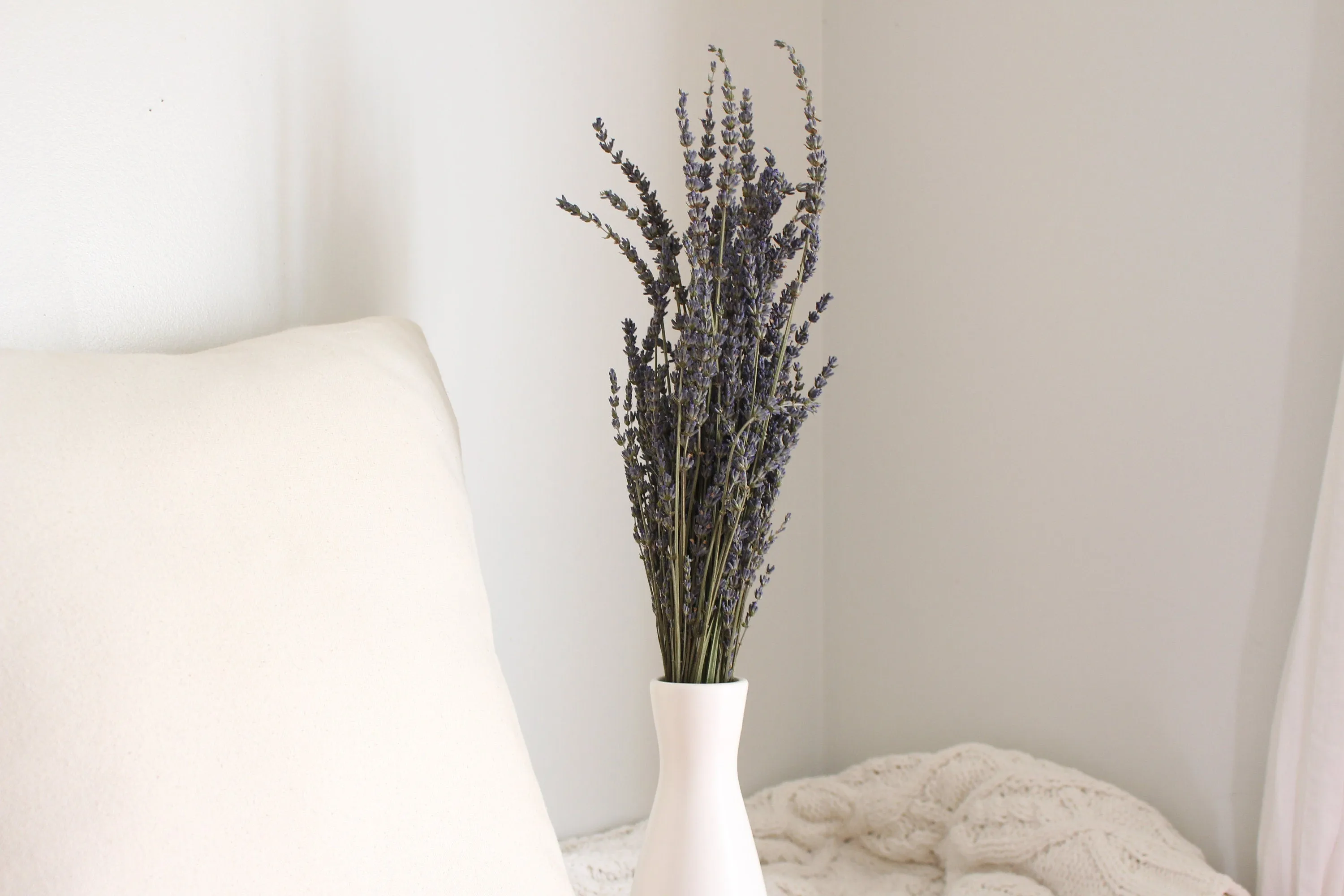 Dried French Lavender Bunch/ Grosso Lavender/ Fragrant