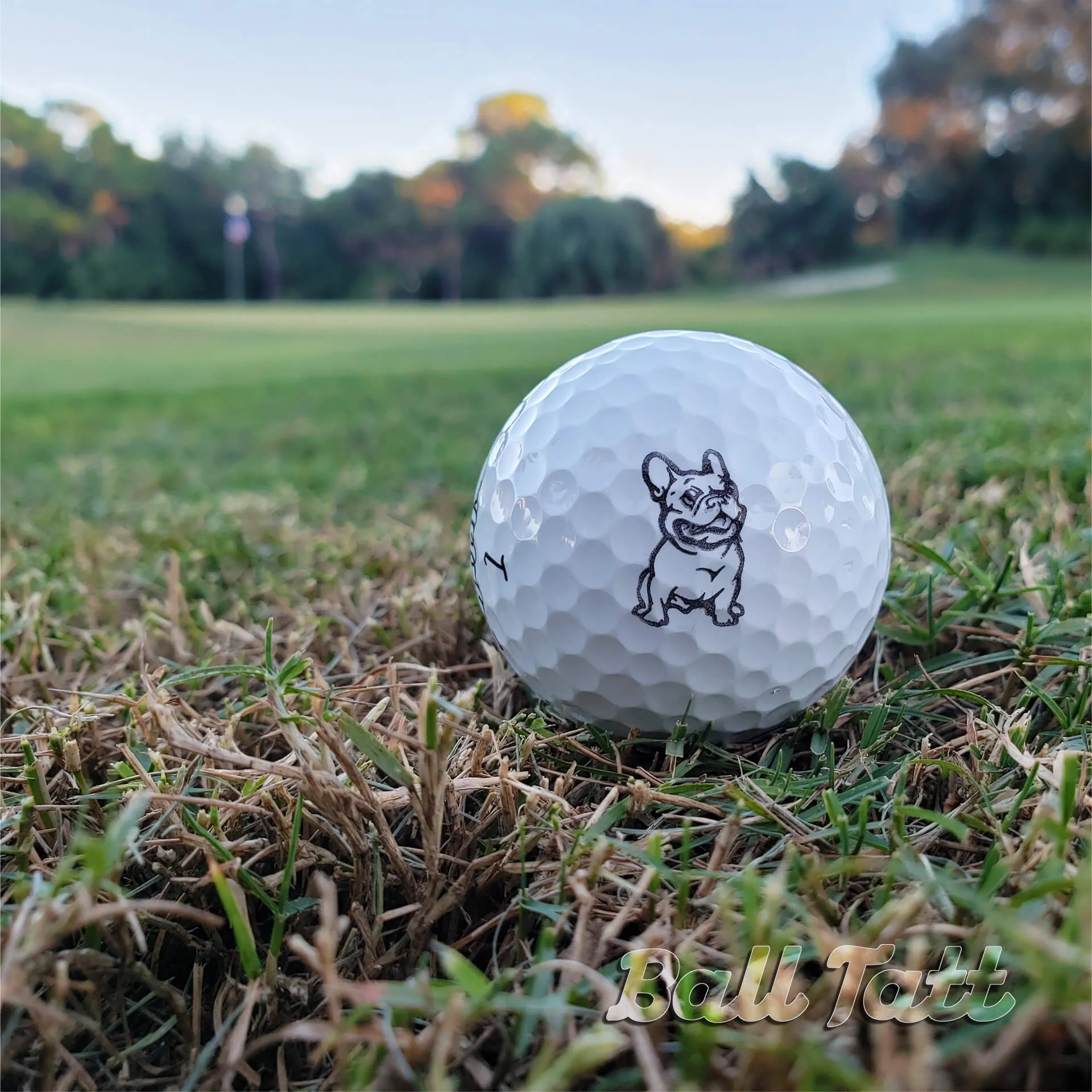 French Bulldog Golf Ball Stamp