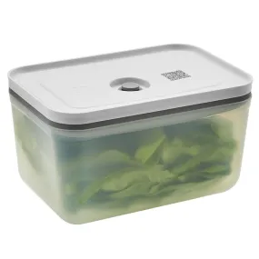 Fresh & Save Large Rectangular Plastic Vacuum Storage Box