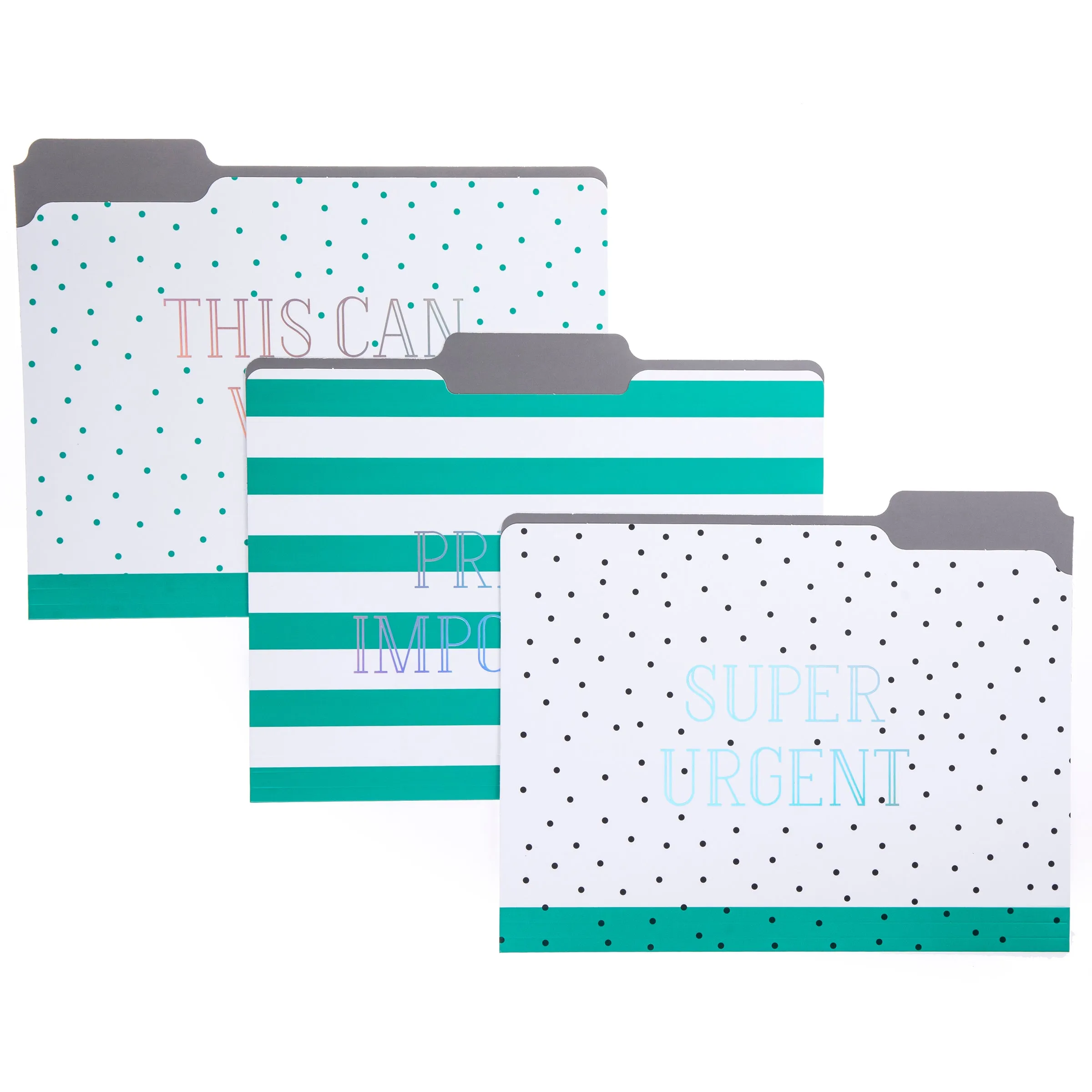 Green Dots File Folder Set