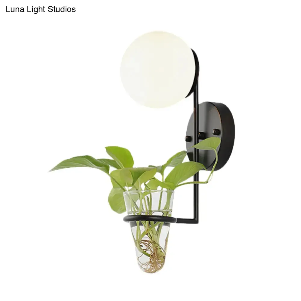 Industrial Global Cream/Smoke Gray Glass Wall Sconce Lamp with Clear Glass Plant Cup - Black/Gold Finish