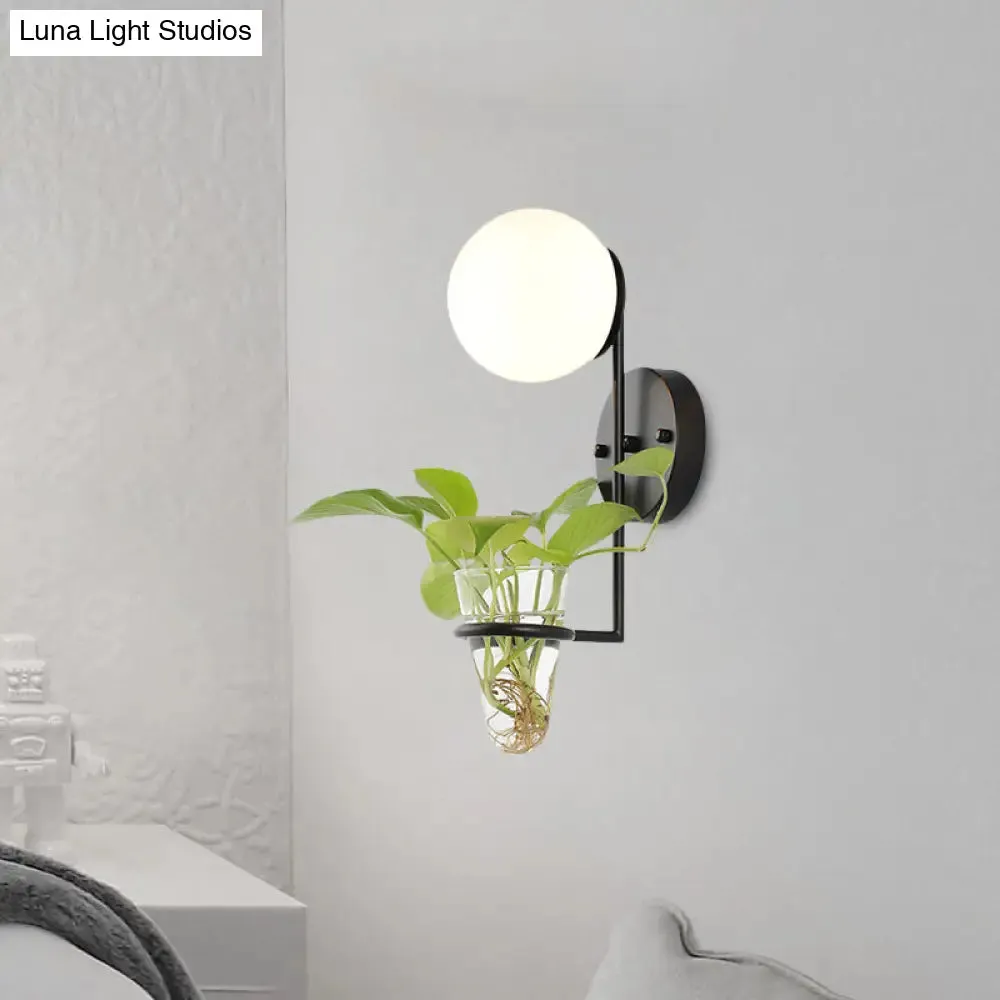 Industrial Global Cream/Smoke Gray Glass Wall Sconce Lamp with Clear Glass Plant Cup - Black/Gold Finish