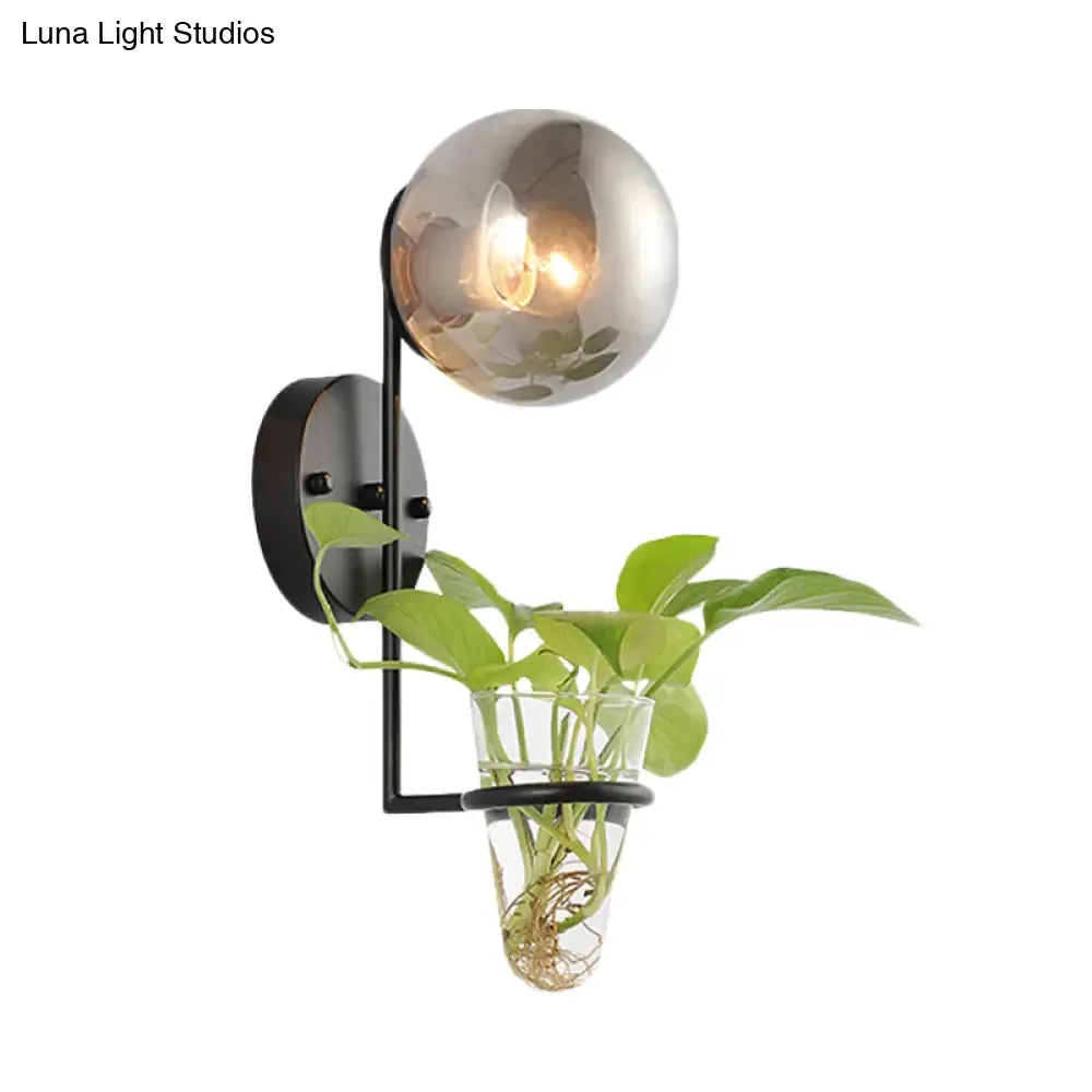 Industrial Global Cream/Smoke Gray Glass Wall Sconce Lamp with Clear Glass Plant Cup - Black/Gold Finish