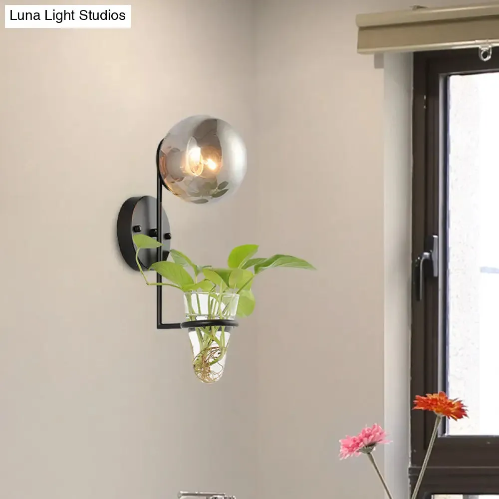 Industrial Global Cream/Smoke Gray Glass Wall Sconce Lamp with Clear Glass Plant Cup - Black/Gold Finish