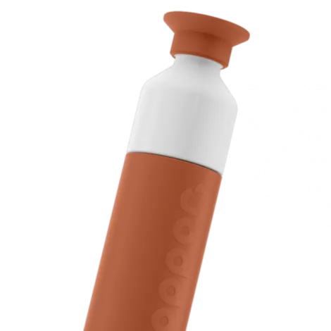 Insulated Thermal Water Bottle 350ml Terracotta Brown