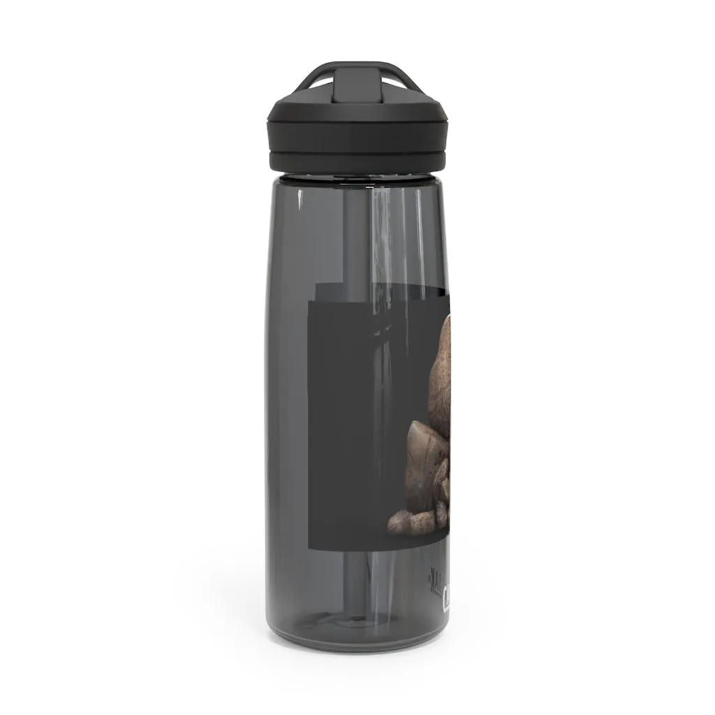 Rocks CamelBak Eddy®  Water Bottle, 20oz / 25oz