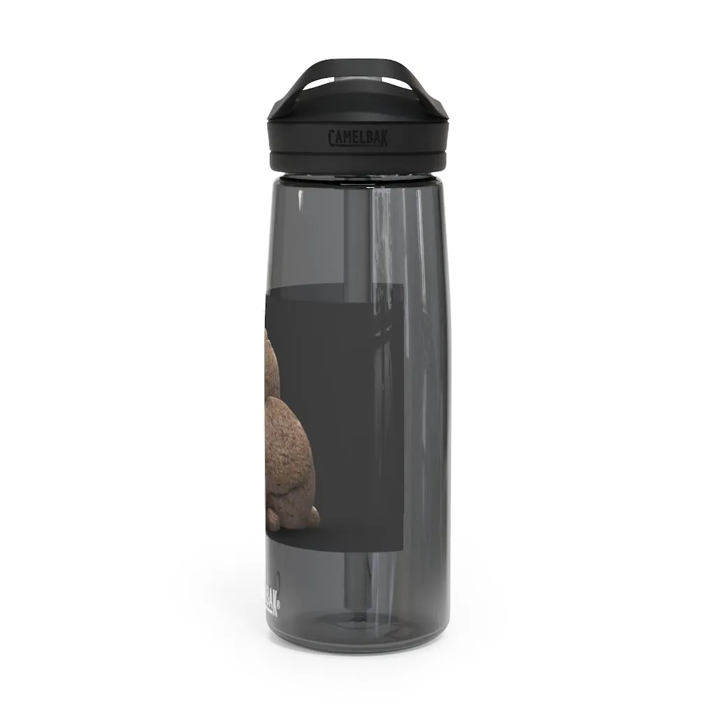 Rocks CamelBak Eddy®  Water Bottle, 20oz / 25oz