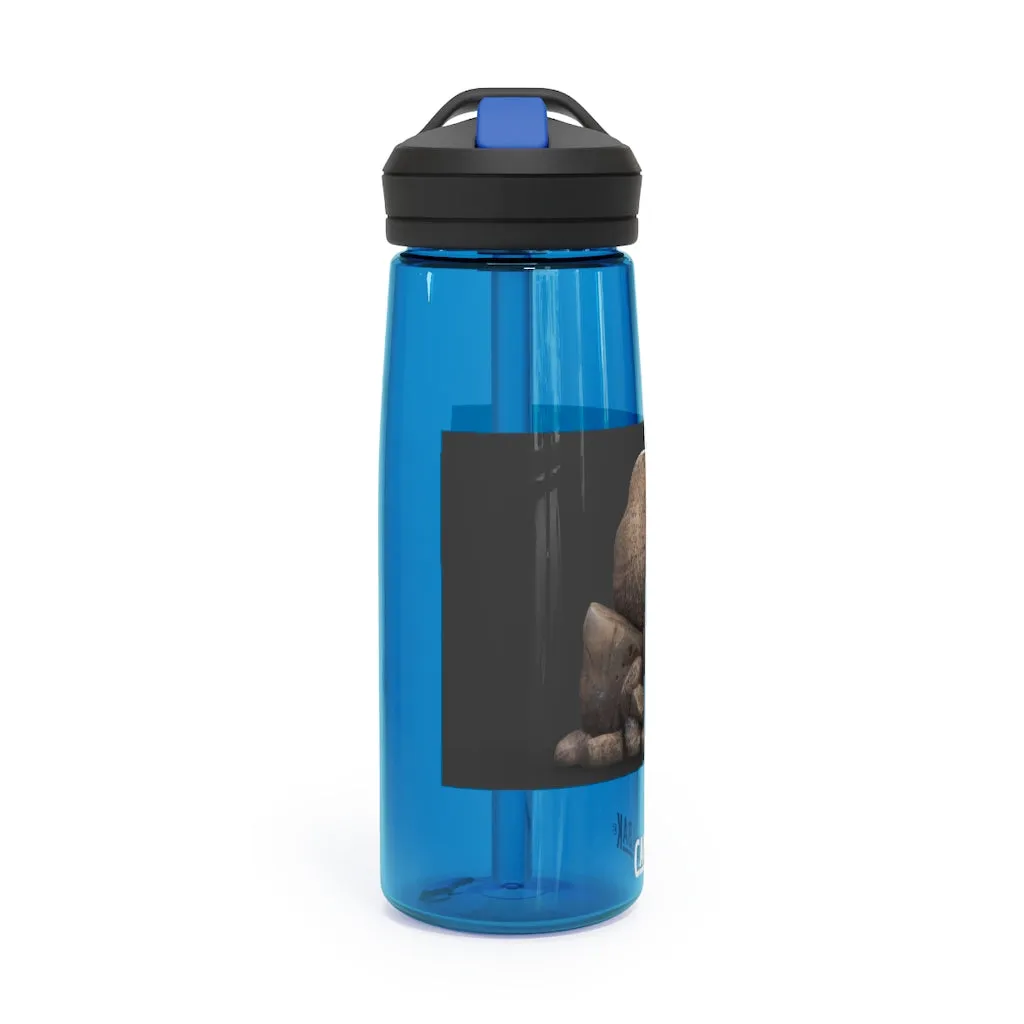 Rocks CamelBak Eddy®  Water Bottle, 20oz / 25oz