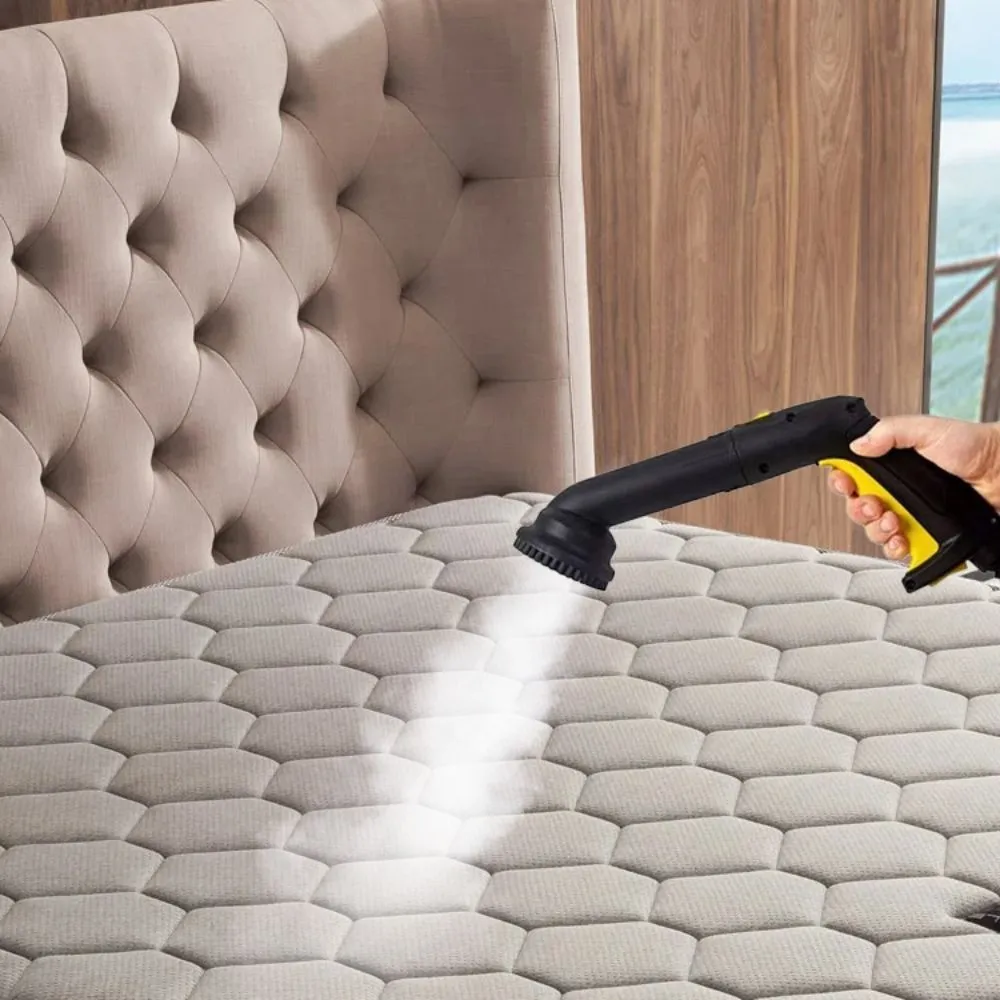 Steam Cleaner for Bed Bugs - Get Rid of Bed Bugs in 7 Days