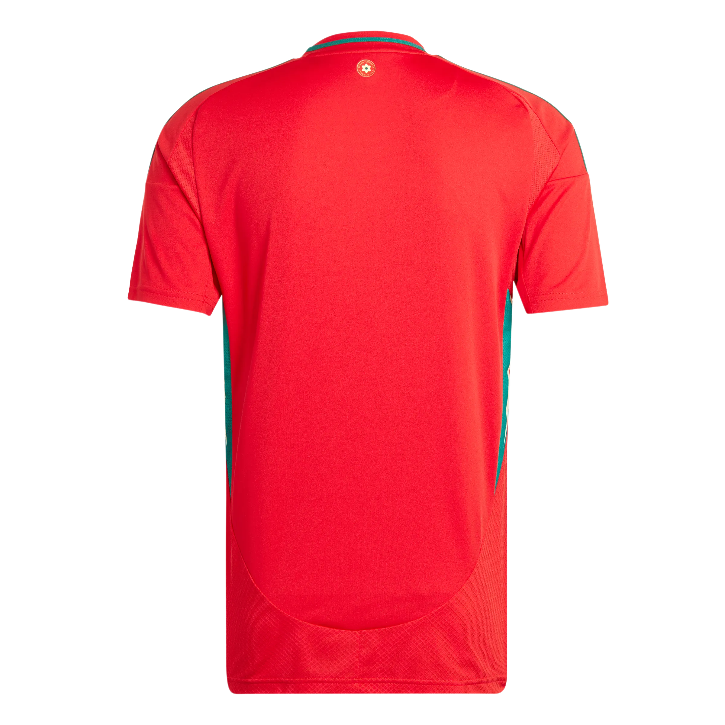 Wales 2024/25 Home Replica Jersey