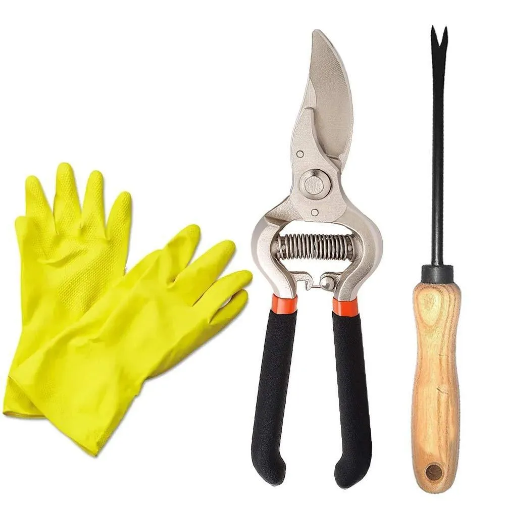 Your Brand Garden Combo - Garden Shears Pruners Scissor (8-inch) & Hand Weeder Straight with 1-Pair Rubber Gloves